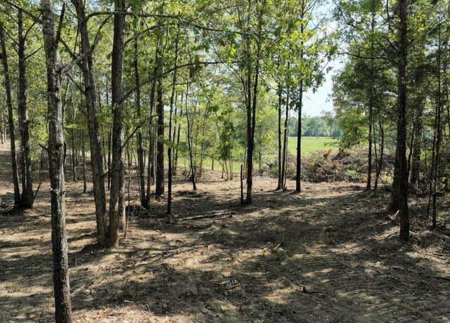 Property at Tbd, Tract 3 Polk Road 158, Mena, AR 71953