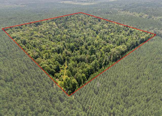 Property at Tbd 9808 Forestry Rd, Sheridan, AR 72150