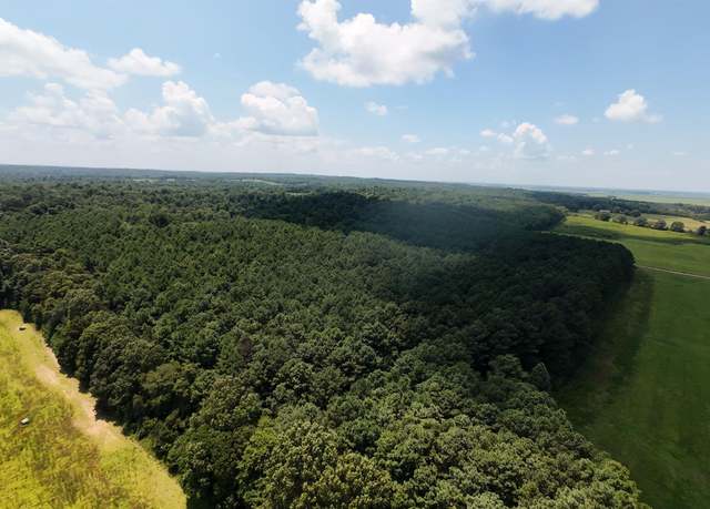 Property at Cr 331 Hwy 62, Pollard, AR 72454