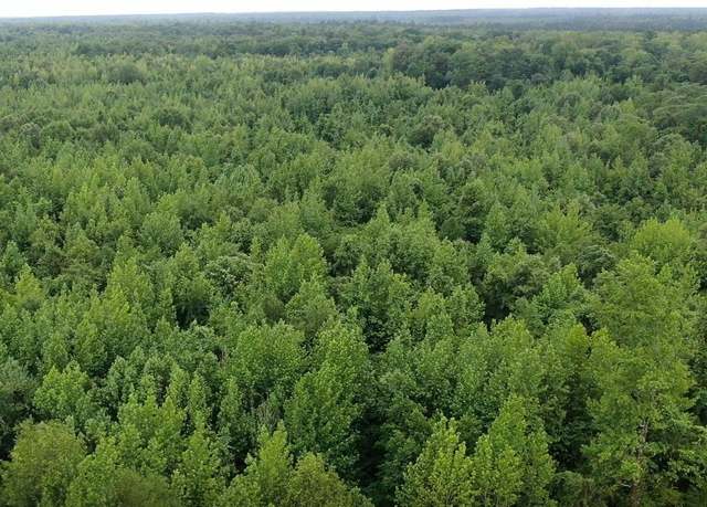 Property at Rowell Rd, Rowell, AR 71665