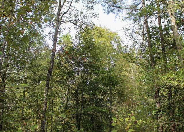 Property at Tbd Polk 151, Hatfield, AR 71945