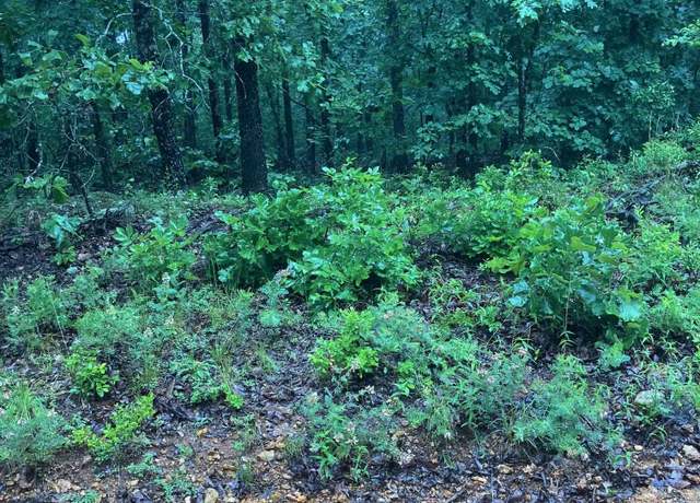 Property at Newman Trl, Williford, AR 72482