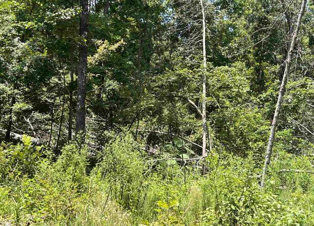 Property at 000 Foxfield Rd, Mammoth Springs, AR 72554