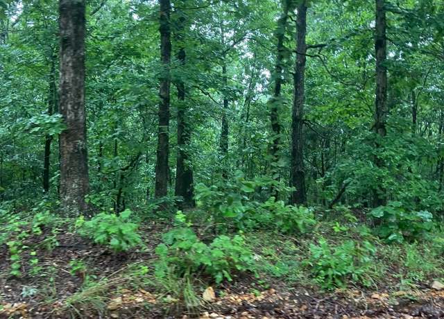 Property at 000 Newman Trl, Williford, AR 72482