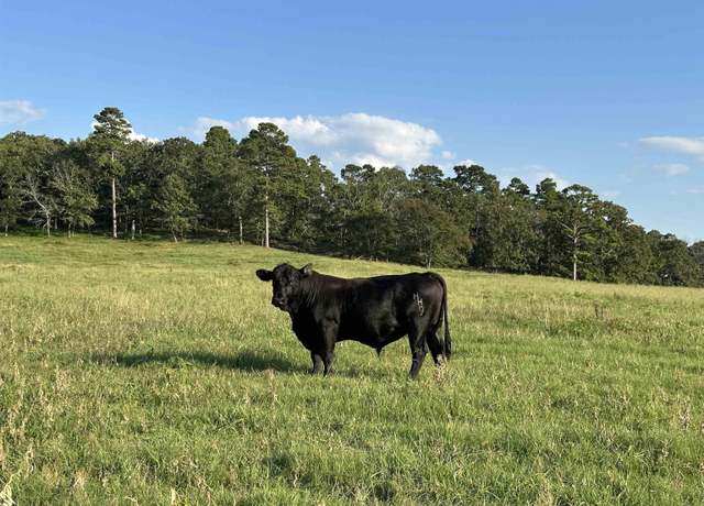 Property at 181 Lovers Ln, Bigelow, AR