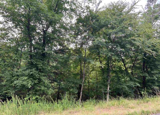 Property at 114 Pamplona Way, Hot Springs Village, AR 71909