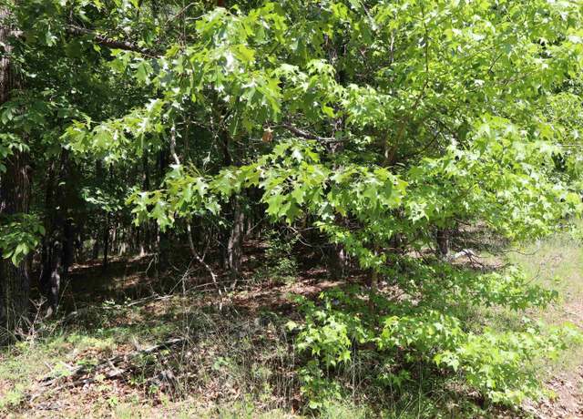 Property at 160 Tamoshantor Ct Ct, Hot Springs, AR 71913