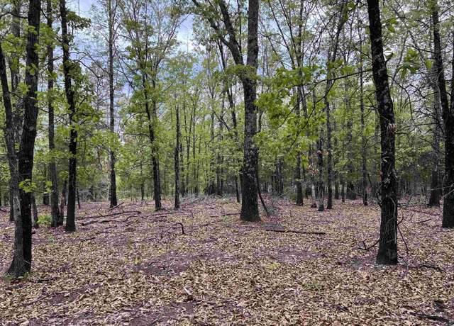 Property at 1 Eclipse Rd, Saint Joe, AR 72675