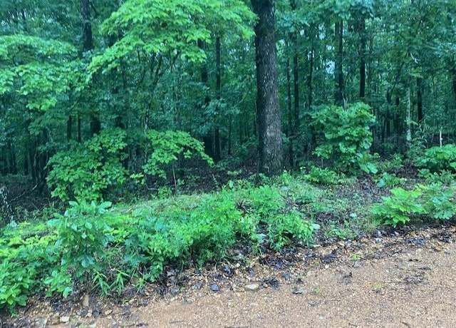 Property at Tbd Newman Trl, Williford, AR 72482