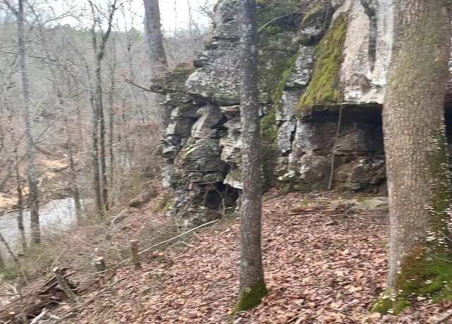 Property at 0000 Hwy 356, Bee Branch, AR 72013