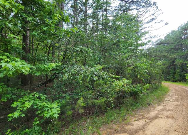 Property at 0 Coyne And Elderberry Way, Fairfield Bay, AR 72088