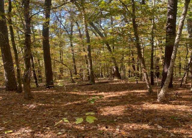 Property at Xxx 270 Highway, Poyen, AR 72128