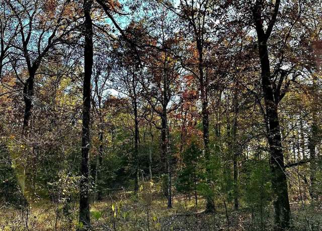 Property at Tract 2 Tbd Polk 31, Cove, AR 71937