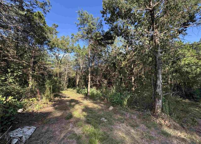 Property at 000 Leftwich Ln, Booneville, AR 72927