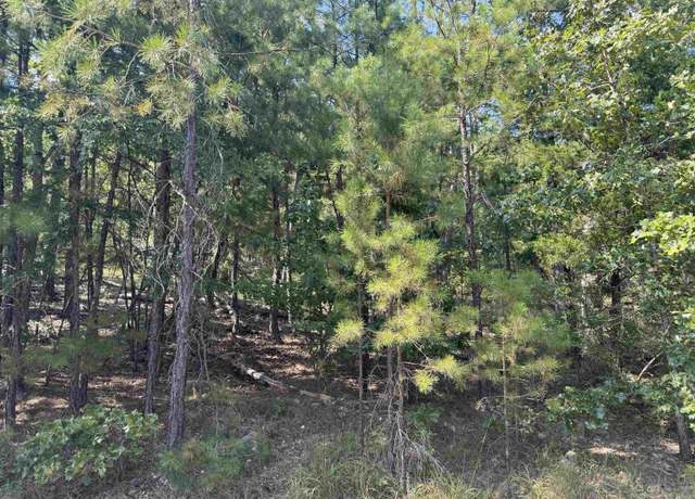 Property at 53 Jubileo Way, Hot Springs Village, AR 71909