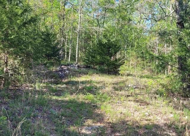 Property at Tbd Indian Valley Trl, Mammoth Springs, AR 72554
