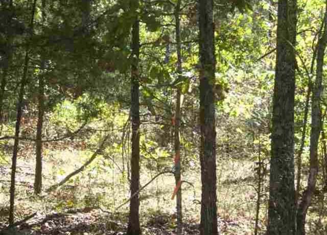 Property at 00 Easy St, Drasco, AR 72530