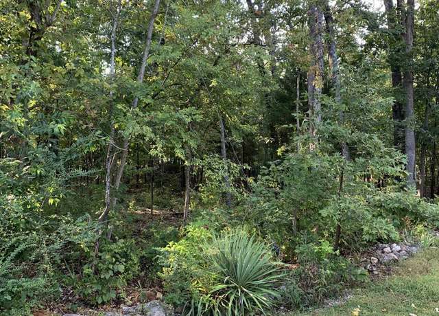 Property at Pt 25 & 26 White River Ct, Bull Shoals, AR 72687
