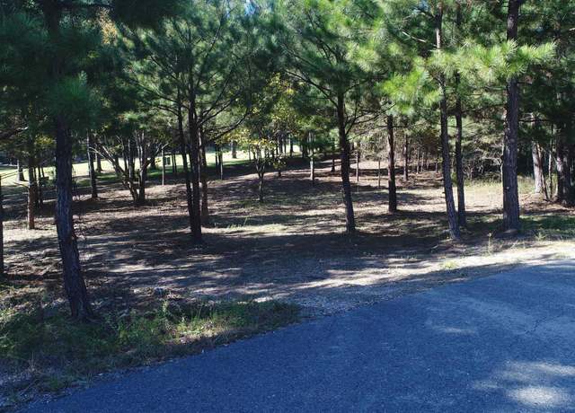 Property at 25 Alhaja Way, Hot Springs Village, AR 71909