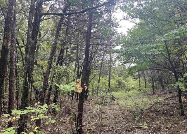 Property at Grassy Gap Rd, Harrison, AR 72601