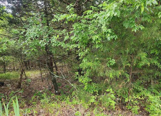 Property at L-22, B-4 Topez Dr, Cherokee Village, AR 72529