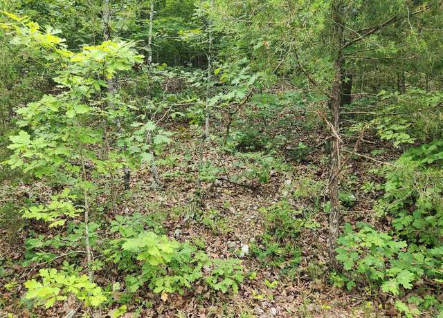 Property at L-137, B-18 Tampa Trce, Cherokee Village, AR 72529