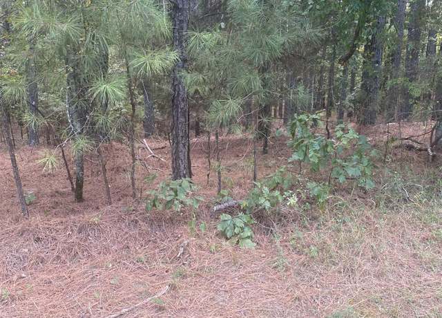 Property at 19 Pizarro Dr, Hot Springs Village, AR 71909