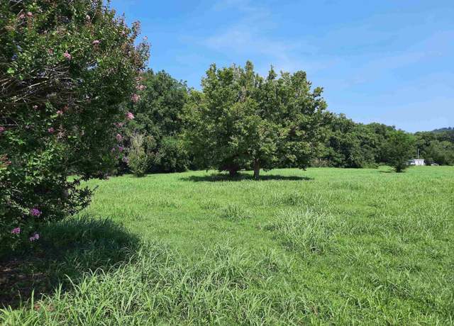 Property at 002 Jellon, Mountain View, AR 72560
