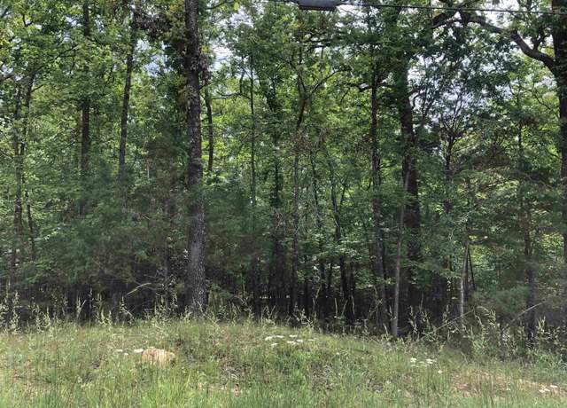 Property at N Summit Ridge Dr, Williford, AR 72482