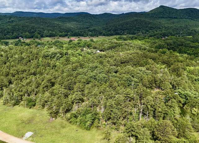 Property at 400 Tree Farm Rd, Melbourne, AR 72556