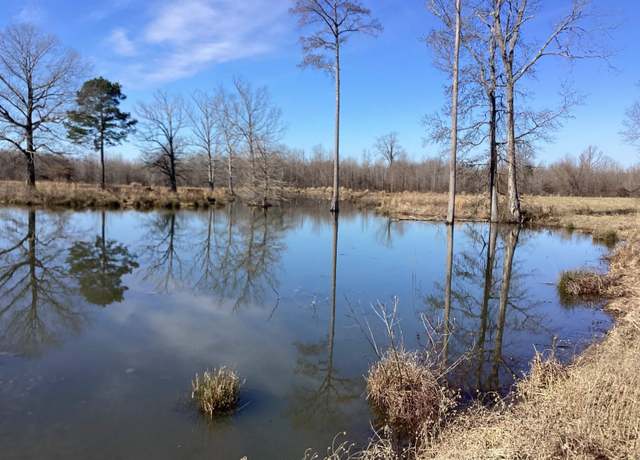 Property at County Road 41, Prescott, AR 71857