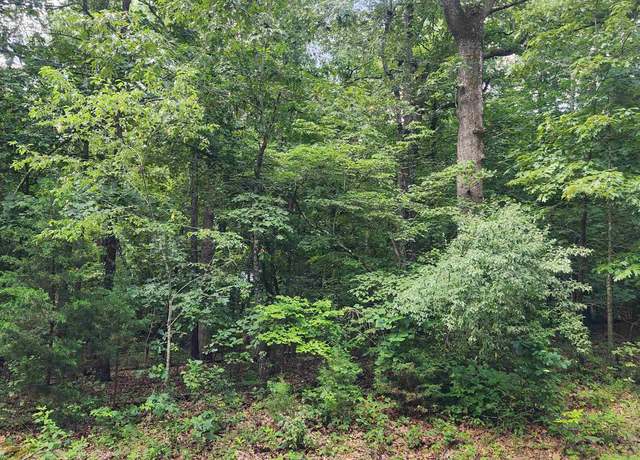 Property at L-42, B-1 Saskatchewan Dr, Cherokee Village, AR 72529