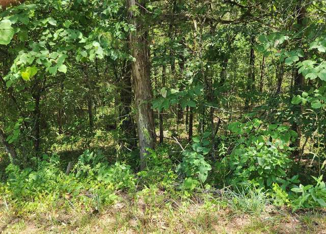 Property at L-25, B-13a Altakima Trce, Cherokee Village, AR 72529