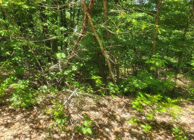 Property at L-27, B-15 Goti Dr, Cherokee Village, AR 72529