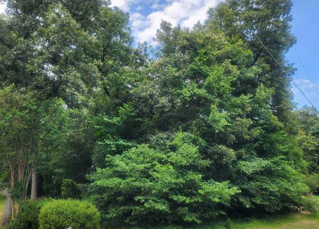 Property at L-36, B-14 Cochise Rd, Cherokee Village, AR 72529