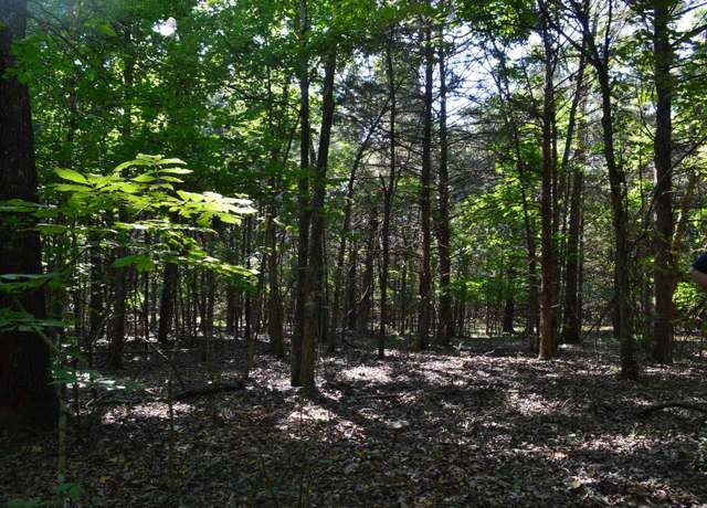 Property at Tbd Rainwood Ln, Lead Hill, AR 72687