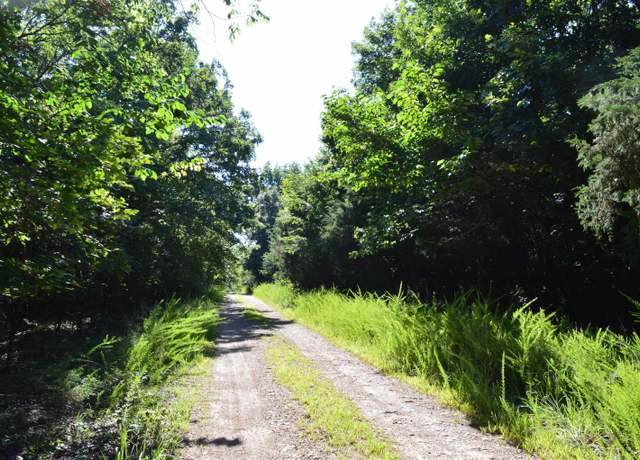 Property at Tbd Rainwood Ln, Lead Hill, AR 72687