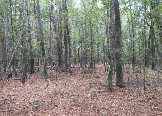 Property at 40 Acres Sulphur Springs Rd, Pine Bluff, AR 71603