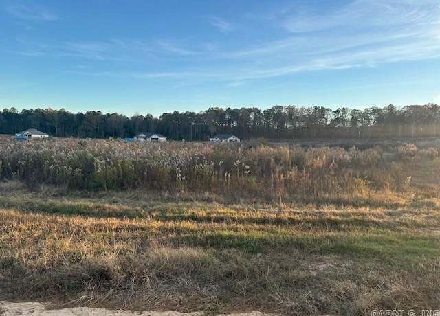 Property at 1009 Duke Dr, Bauxite, AR 72011