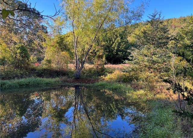 Property at Tbd Saddle Rd, Saint Joe, AR 72675