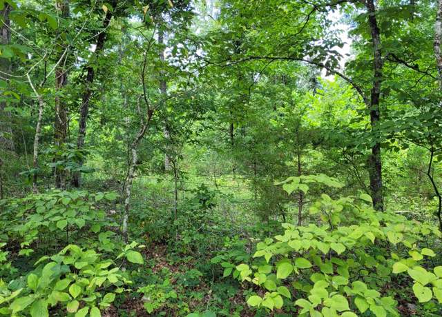 Property at Tbd Tall Timber Rd, Hardy, AR 72542