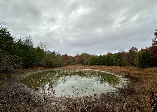Property at Tbd Polk Road 28, Hatfield, AR 71945