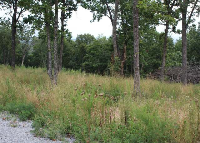 Property at Tract 2 Mc 5039, Valley Springs, AR 72682