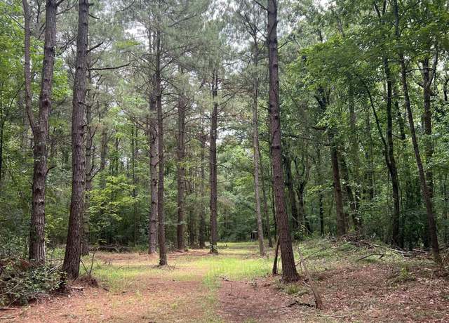 Property at 00 Alexander Rd, Star City, AR 71667