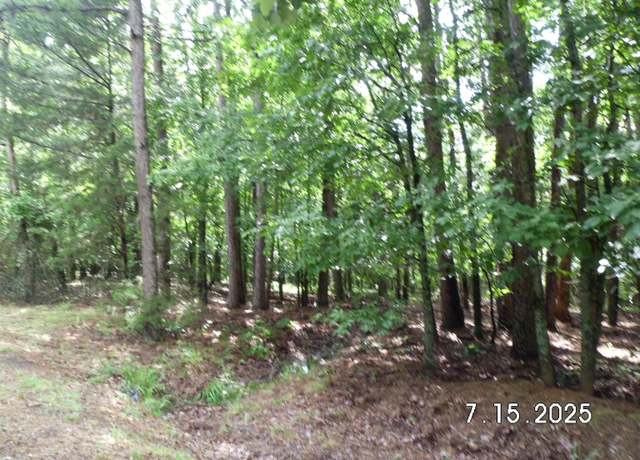 Property at 44 & 45 Lakeview Dr Lot 44, Heber Springs, AR 72543