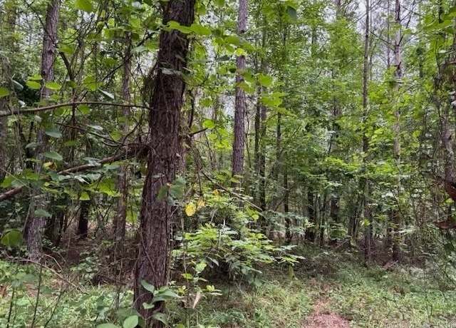 Property at Hwy 128, Lonsdale, AR 72087