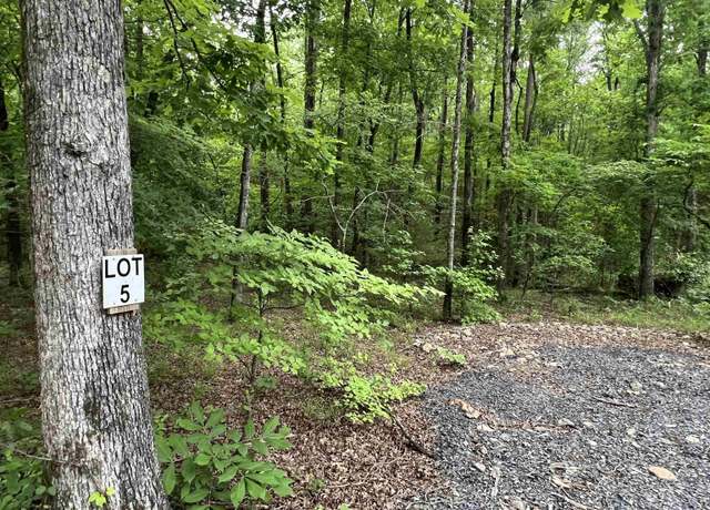 Property at 310 Cathedral Pines Ln, Mena, AR 71953