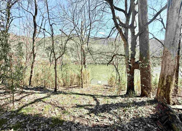 Property at 1 Allure Ln, Mountain View, AR 72560