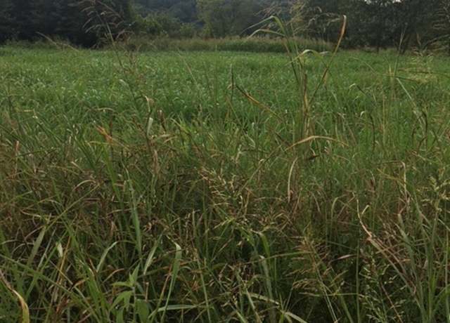 Property at 50 White River Run, Guion, AR 72540