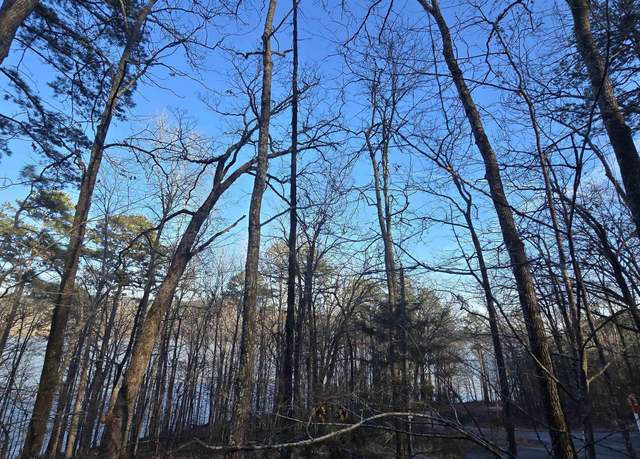 Property at 66 Lower Ridge Cir Lot 66, Edgemont, AR 72044